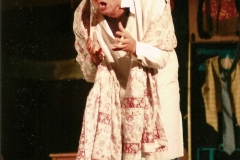 Teatrinbus-2